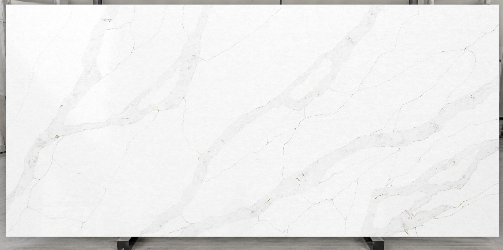 Calacatta lyra 1